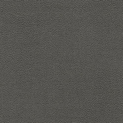 Buckaroo | Gray Wolf | Colour grey | Anzea Textiles