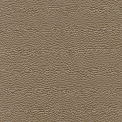 Bull's Eye | Mud Road | Faux leather | Anzea Textiles