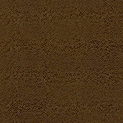Bull's Eye | Beef Jerkey | Colour brown | Anzea Textiles