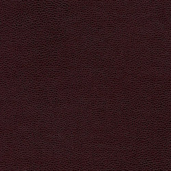 Bull's Eye | Colour brown | Anzea Textiles