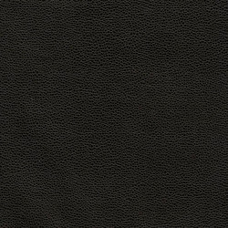 Bull's Eye | Coal Black | Colour black | Anzea Textiles