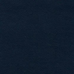 Calf Crazy | Blue Jeans | Faux leather | Anzea Textiles