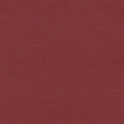 Calf Crazy | Red Clay | Colour pink / magenta | Anzea Textiles