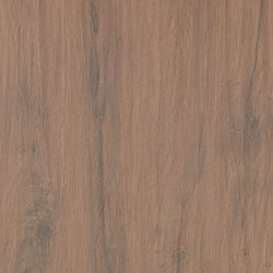 Tavolato marrone medio | Colour brown | Casalgrande Padana