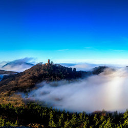 Landscape | Trifels castle in the morning mist | Fogli di plastica | wallunica