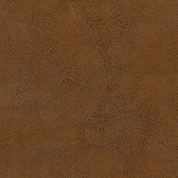 Mammoth Deception | Bronzed Bag | Cuero artificial | Anzea Textiles