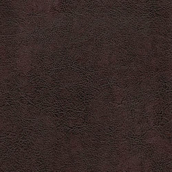 Mammoth Deception | Rich Leather | Colour brown | Anzea Textiles
