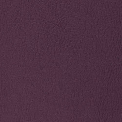 K310620 | Upholstery fabrics | Schauenburg