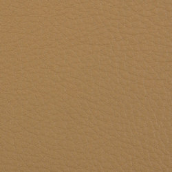L1030306 | Natural leather | Schauenburg