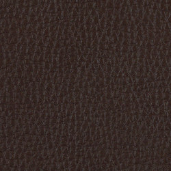 L1030313 | Natural leather | Schauenburg