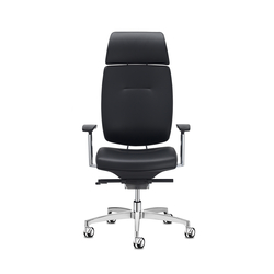 Spirit executive | Office chairs | sitland