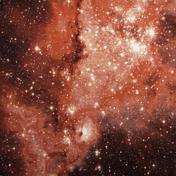 Nebula | Carpet NGC