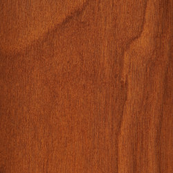 Parklex Facade Finish | Copper | Veneered wood panels | Parklex Prodema