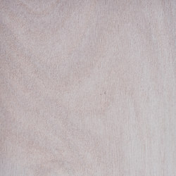 Parklex Facade Finish | Silver | Wood panels | Parklex