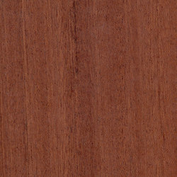 Parklex Floors HyTek Finish | Sapelli | Wood veneers | Parklex Prodema