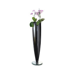 Ming Vase | Vases | Reflex