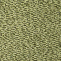 Scrolls 040 | Rugs | Perletta Carpets