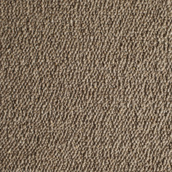 Scrolls 104 | Rugs | Perletta Carpets