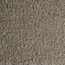 Scrolls 332 | Rugs | Perletta Carpets