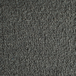 Scrolls 338 | Rugs | Perletta Carpets