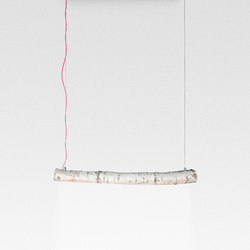 Trunk Suspended lamp
