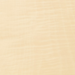 Ghiaccio 09.S.027 | Wood flooring | Tabu
