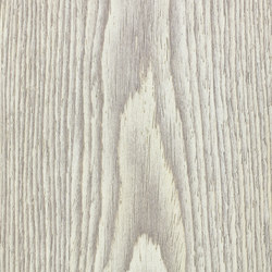 Ghiaccio AA4.00.142 | Wood flooring | Tabu