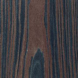Grafite AN.28.013 | Wood flooring | Tabu