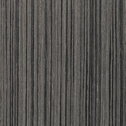 Grafite MN6.00.457 | Wood flooring | Tabu