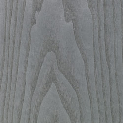 Grafite 26.001 | Wood flooring | Tabu