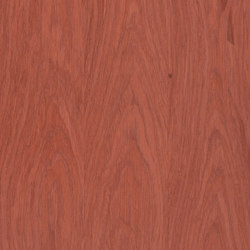 Caleidosystem Z9.027 | Wood flooring | Tabu