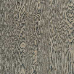 Caleidosystem Z9.061 | Wood flooring | Tabu