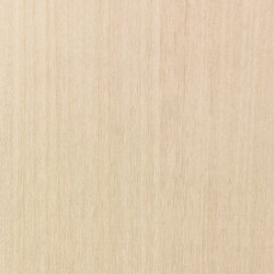 Ghiaccio 04.004 | Wood flooring | Tabu