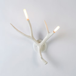 Superordinate Antler Sconce (White) | Wall lights | Roll & Hill