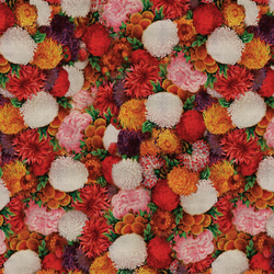 Hanami | Pattern plants / flowers | Wall&decò
