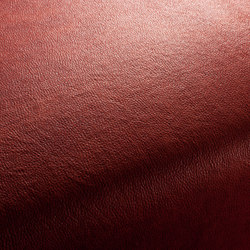 BOXTER CA1038/010 | Upholstery fabrics | Chivasso
