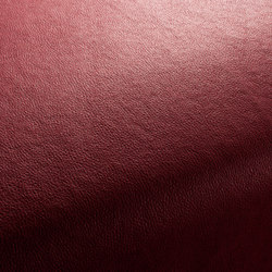 BOXTER CA1038/011 | Upholstery fabrics | Chivasso