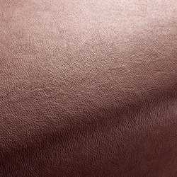 BOXTER CA1038/012 | Upholstery fabrics | Chivasso