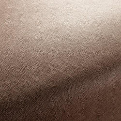 BOXTER CA1038/020 | Upholstery fabrics | Chivasso