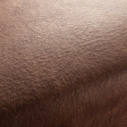 BOXTER CA1038/021 | Upholstery fabrics | Chivasso