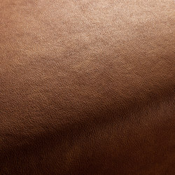 BOXTER CA1038/022 | Upholstery fabrics | Chivasso