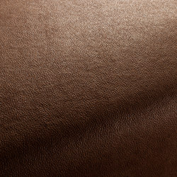BOXTER CA1038/023 | Upholstery fabrics | Chivasso