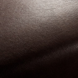 BOXTER CA1038/025 | Upholstery fabrics | Chivasso