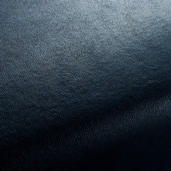 BOXTER CA1038/052 | Upholstery fabrics | Chivasso