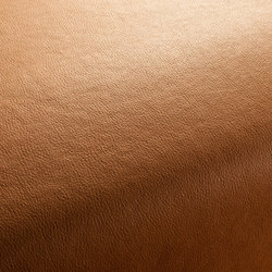 BOXTER CA1038/060 | Upholstery fabrics | Chivasso