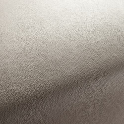 BOXTER CA1038/072 | Upholstery fabrics | Chivasso