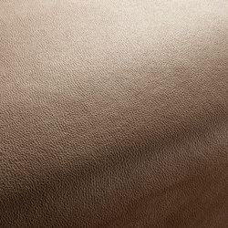 BOXTER CA1038/074 | Upholstery fabrics | Chivasso