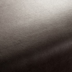 BOXTER CA1038/075 | Upholstery fabrics | Chivasso