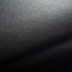 BOXTER CA1038/099 | Upholstery fabrics | Chivasso