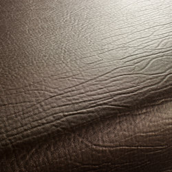 FICTION CA1087/020 | Upholstery fabrics | Chivasso
